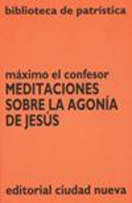 Foto de MEDITACIONES SOBRE LA AGONIA DE JESUS #7