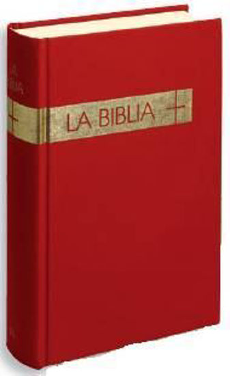 BIBLIA (VERBO DIVINO/TRADUCCION INTERCONFESIONAL)