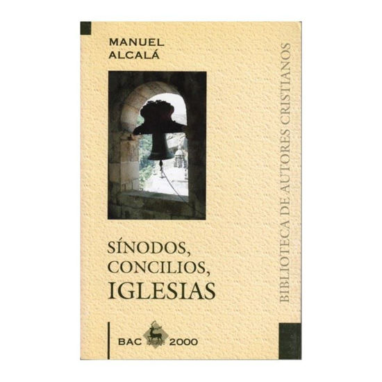 SINODOS CONCILIOS IGLESIAS