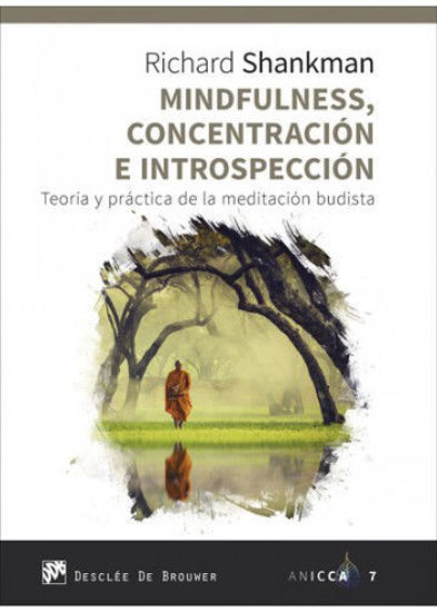 Foto de MINDFULNESS CONCENTRACION E INTROSPECCION #7