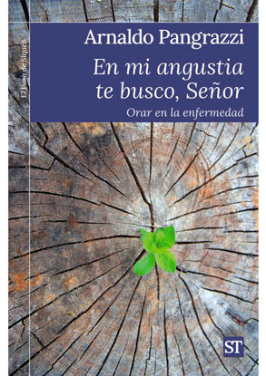 Foto de EN MI ANGUSTIA TE BUSCO SEÑOR #465 (ST)