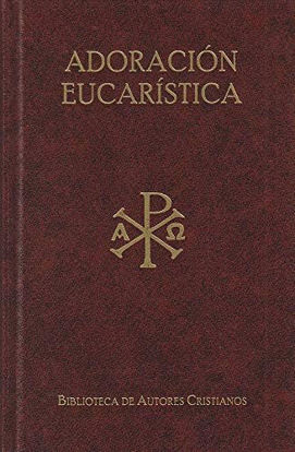 Foto de TEXTOS LITURGICOS PARA LA ADORACION EUCARISTICA #44