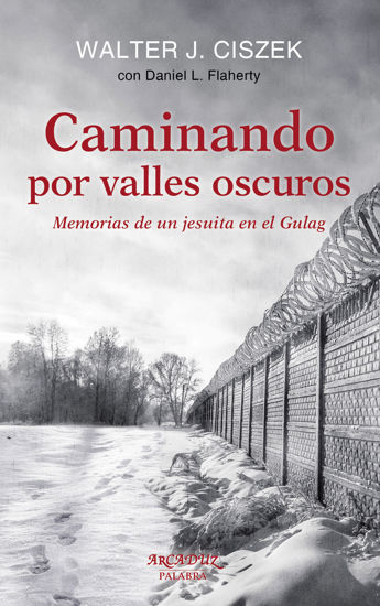 Picture of CAMINANDO POR VALLES OSCUROS #120 (PALABRA)
