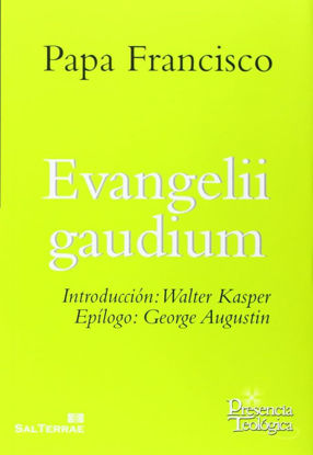 Foto de EVANGELII GAUDIUM #215 (ST)